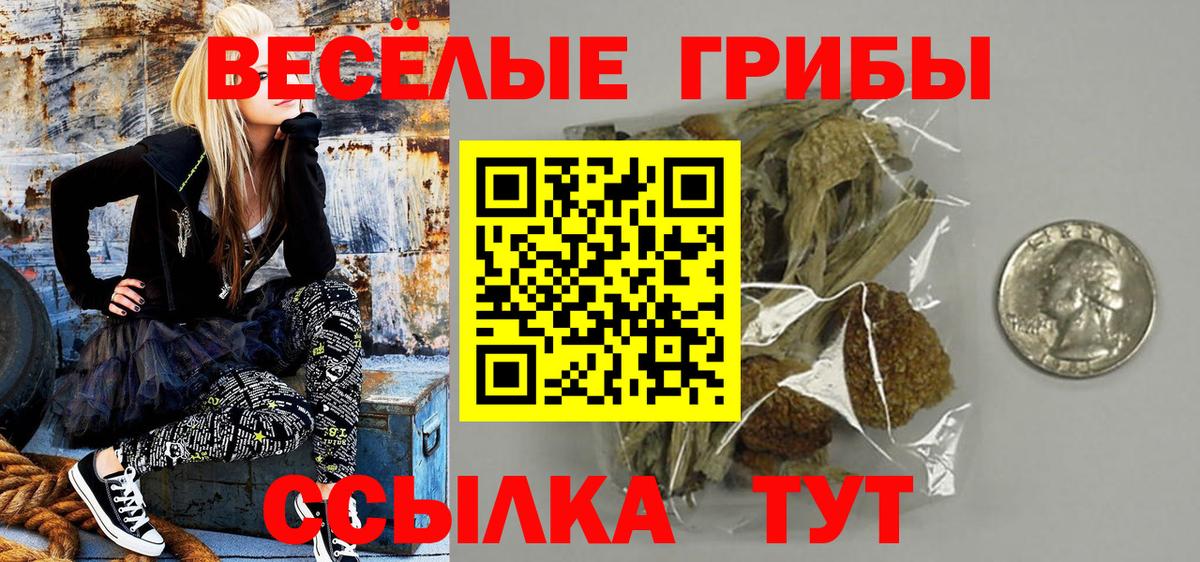 Псилоцибиновые грибы Psilocybe  Вход с VPN  Галлюциногенные грибы GOLDEN TEACHER  Мурино 