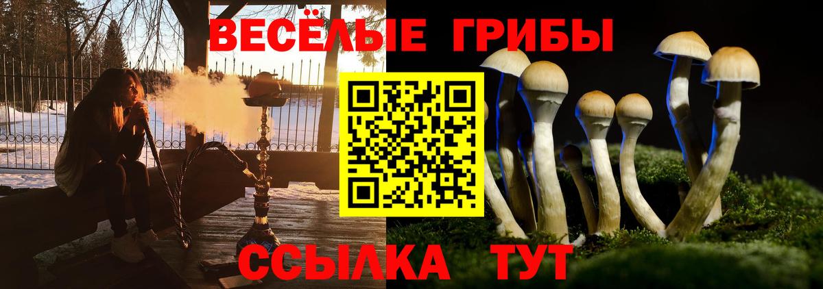 Галлюциногенные грибы мицелий Мурино